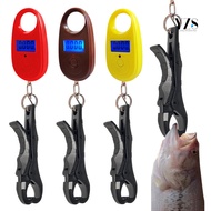Y-S Mini Fish Gripper with 25Kg Electric Scale Mouth Lip Grabber with Digital Weight Scale Fish Cont