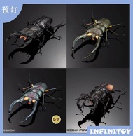 BANDAI 生物大圖鑑甲蟲可動鹿角蟲 第二彈 全套扭蛋