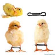 jenniferagg.my 50 100Pcs Baby Chick Spreader Leg Hobble Brace Baby Chick Leg Hobbles Poultry Leg Ban
