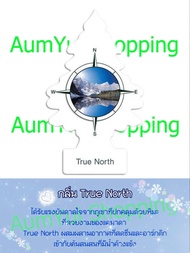 True North (กลิ่นสบู่เฟรชไอซ์ซี่คูล) | Little Trees (แผ่นเล็ก) น้ำหอมปรับอากาศ