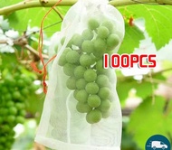 100 Buah Jaring Pembungkus Buah Di Pohon Anggur Klengkeng Mangga Bungkus Buah Di Pohon 25*35cm