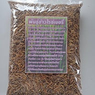 พันธุ์ข้าวไรซ์เบอรี่ ชุด 10 กิโลกรัมปลูกได้1ไร่