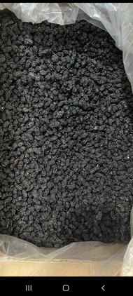 [HCM] 1kg Dâu tằm sấy lạnh ngon - dùng pha trà pha nước uống - Dâu tằm Đà Lạt sấy khô