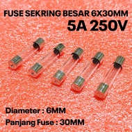 (PER 5 PIECES) GLASS FUSE 5A 250V FUSE 6X30MM LARGE