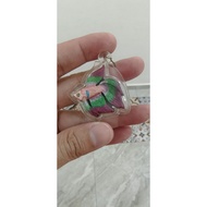 招财鱼 2560, Long Phor Chaiya