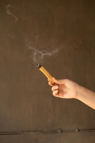 秘魯聖木 - 原木條