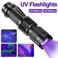 395LED - UV  395nm Lampu Suluh LED Ultravioleta – Lampu UV Aloi Logam untuk Pengesanan Tompok Haiwan
