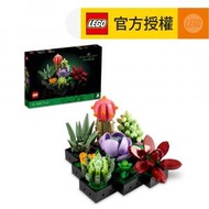 樂高 - LEGO® Icons 10309 多肉植物 (DIY,花藝,家居飾品,擺飾,玩具,聖誕,新年,母親節,禮物)