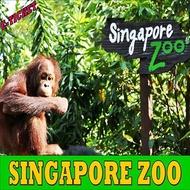 Singapore Zoo with Tram Ride (E-ticket)