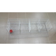 ✭Sangkar Puyuh Bertelur (Quail Cages)★