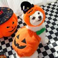 Pumpkin suit for dogs and cats, BECHON pumpkin halloween cosplay suit