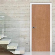 Plywood Door