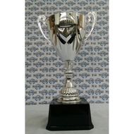 AUS IMPORTED CUP SILVER (Sports Express)