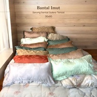 Cute Pillow size 30x60 Frame | Includes Tencel Silk Pillowcase 30x60