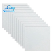 12 Sheets 10mil Mylar Sheet 12 X 12 Inch Milky Translucent PET Blank Stencil Making Sheet  (10mil)