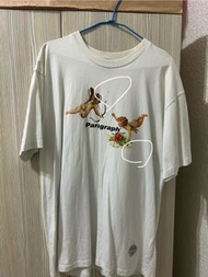 Paragraph小天使