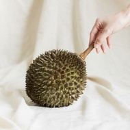Durian Utuh Musang King 2,5 KG