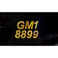 MOTOR NUMBER PLATE GM1