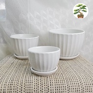 90s Greenovation Classy White Ceramic Pot 简约优雅带托盘陶瓷花盆