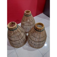 SERKAP IKAN SIAM/THAILAND