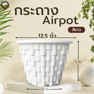 รุ่นใหม่ Airpot กระถางปลูกสายเขียว กระถางเร่งราก สีขาว ขนาด 12.5 นิ้ว