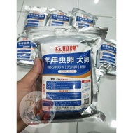 BBS Hong Jie / Red sister