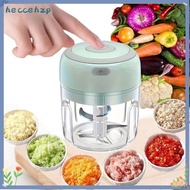 HECCEHZP Portable Veggie Chopper, Long Battery Life Rechargeable USB Electric Garlic Chopper,  Mini 