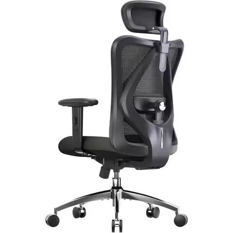 SIHOO M18 Ergonomic Office Chair for Big and Tall People Adjustable Headrest with 2D Armrest Lumbar 