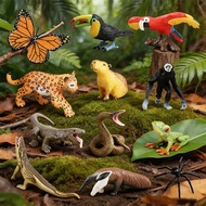 Jungle solid simulation animal model parrot butterfly spider python leopard gibbon toucan toy