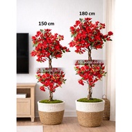Pokok Bunga Kertas Bonsai Merah Hiasan 150cm / Premium Artificial Bougainvillea Red Bonsai tree Flow
