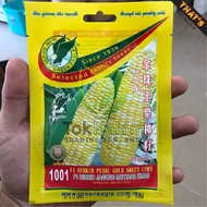 Biji Benih Jagung Mutiara Emas Hibrid F1 (40 biji) GREEN EAGLE 1001