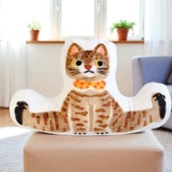 一字馬小虎斑 短絨毛抱枕