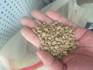 Đất nung Super Hard Akadama Nhật Bản bao 14L (10kg) dùng trồng cây cảnh bonsai sen đá địa lan