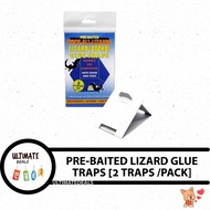 STICK ALL LIZARDS LIZARD(GECKO) GLUE TRAPS - 3D Trap (House-type)