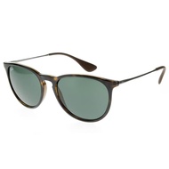 Ray-Ban Icons Sunglass Erika Green Classic | RB4171F 710/71 S58