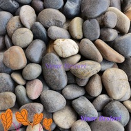 1KG Natural Pebble Gardening Landscape Decor Massage Stone Batu Hiasan Hitam Refleksologi Aquarium A