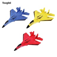 Tooyful Foam RC Airplane, Easy to Control RC Plane, Outdoor Toys with Light, RC Glider, RC Jet Plane