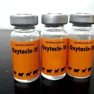 ORIGINAL obat melahirkan hewan oxytocin 10 Ml ASLI