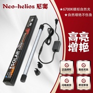 [preferential products] Neo SOLAR Thunder Arowana Special Light Fluorescent Hair Color Light Waterpr