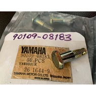 Yamaha YL2 YL1 DX100 Y80 Rear Brake Cover Nut New Authentic 1 Piece Not A Bag