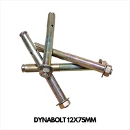 20 Pcs Dynabolt 12 x 75 Bolt Dinabolt Bracket M12 Anchor Concrete 12x75-PT88