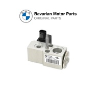 Original BMW Electrical Expansion Valve For G05 With B58C/B58X Engine (64119496916)