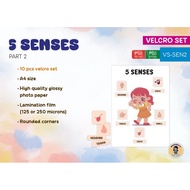 Interactive Worksheet | Busy Book - 5 Senses