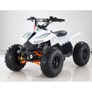 atv 125cc limited edition ready stock malaysia