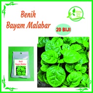 BENIH BAYAM MALABAR ISI 20 BIJI