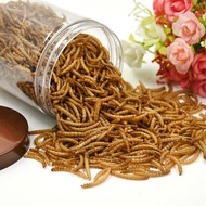 Dried BengyMeal Worm/Mealworm/ulat roti kering 80G For Hamster ，Small animal