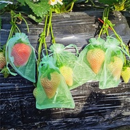 [Fast Shipping]] Bagging Insect-Proof Mesh Bag Transparent Mesh Bag Strawberry Ready Stock Drawstrin