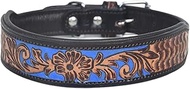 Leather Dog Collar in Western Design, Handmade, Trendy, Robust, Wide (XS 9-11 Inches)