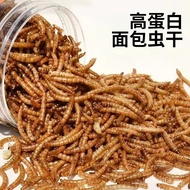 Pukal Borong Ulat Roti Kering Makanan Ringan Hamster Protein Tinggi Ulat Makan Kering Ikan Penyu Bet