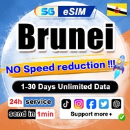 Brunei eSIM 4G High Speed 3-30 Days 3GB-15GB Unlimited Data DST eSIM